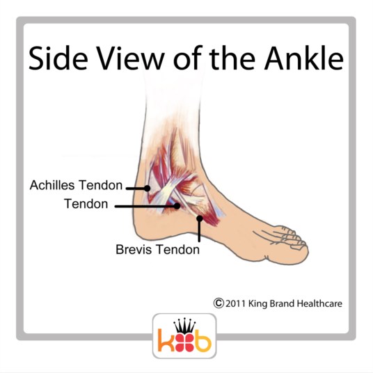 King Brand Ankle Injury Side View Tendons Bones Diagram Image Labelled